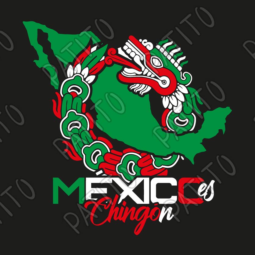 22 MEXIGO CHINGON