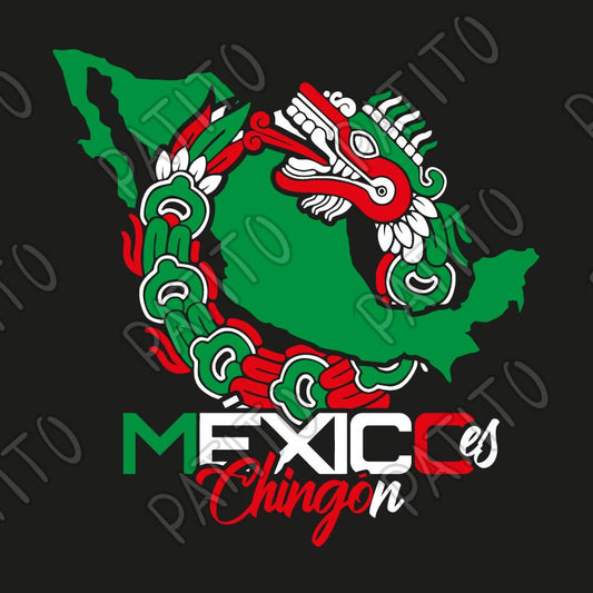 22 MEXIGO CHINGON