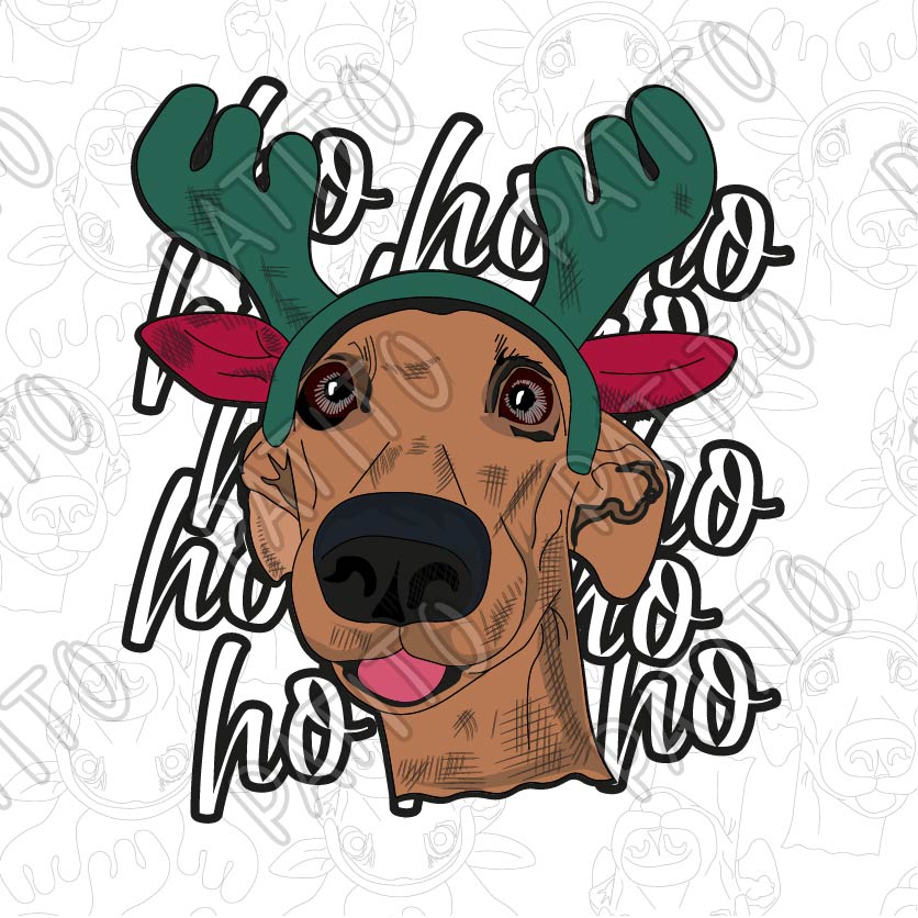 95 HO  HO HO PERRO NAVIDAD