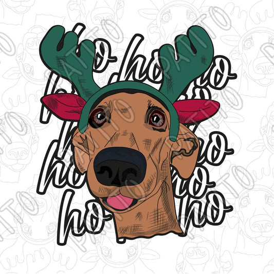 95 HO  HO HO PERRO NAVIDAD